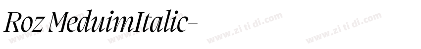 Roz MeduimItalic字体转换
